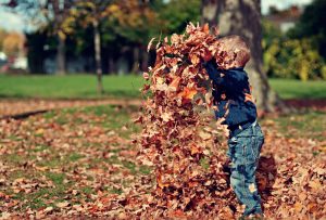 pest control monroe ga