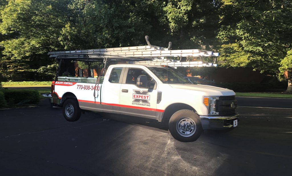 Expest Pest Control Truck
